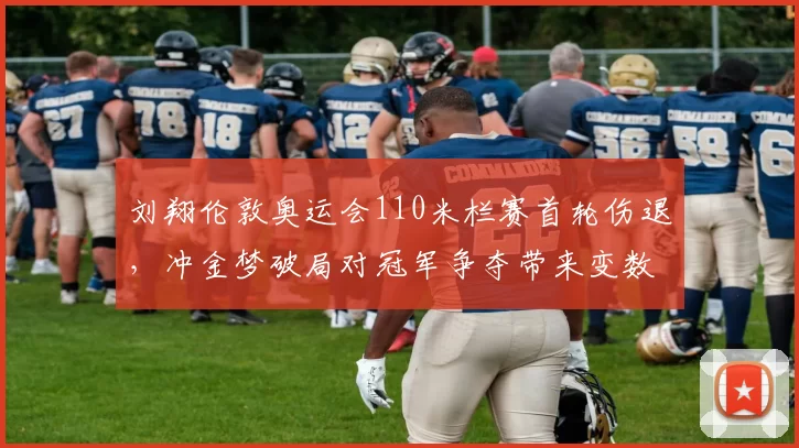 刘翔伦敦奥运会110米栏赛首轮伤退，冲金梦破局对冠军争夺带来变数