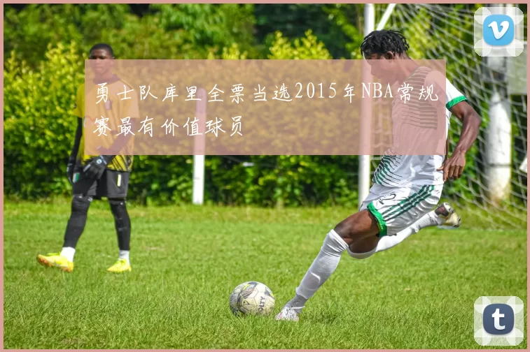 勇士队库里全票当选2015年NBA常规赛最有价值球员